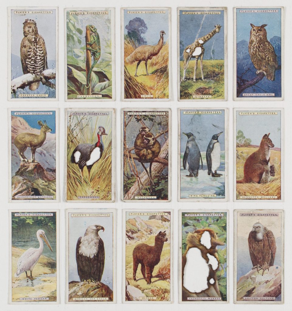 Hit List (Player’s cigarettes, 15 animals, 1924), 2017. Burnt cigarette cards. 31x30 cm's.