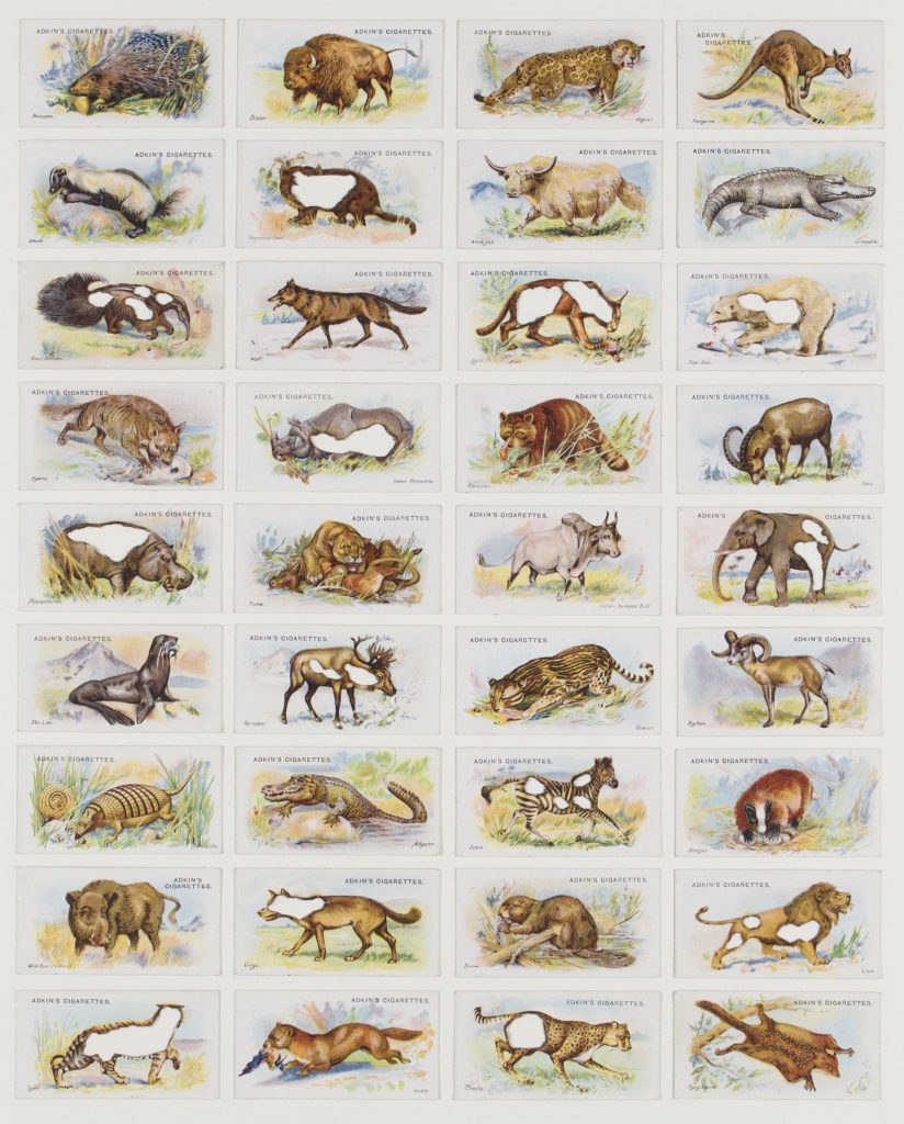 Hit List (Adkin’s cigarettes, 36 wild animals, 1923), 2017. Burnt cigarette cards. 45 x 38 cm.