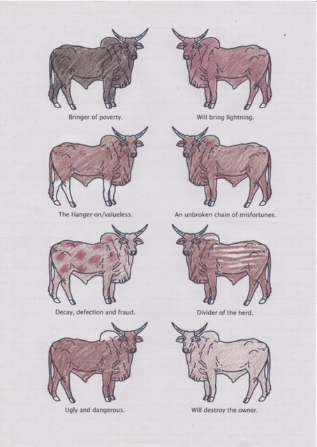 Death chart: Zebu, 2014. Ink and colouring pencil on paper. 29x21 cm's.