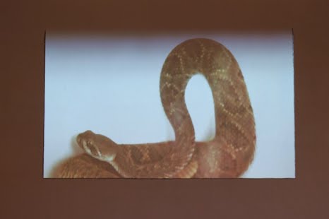 Serpent contained (film still), 2013. Video projection into a graphite rectangle.