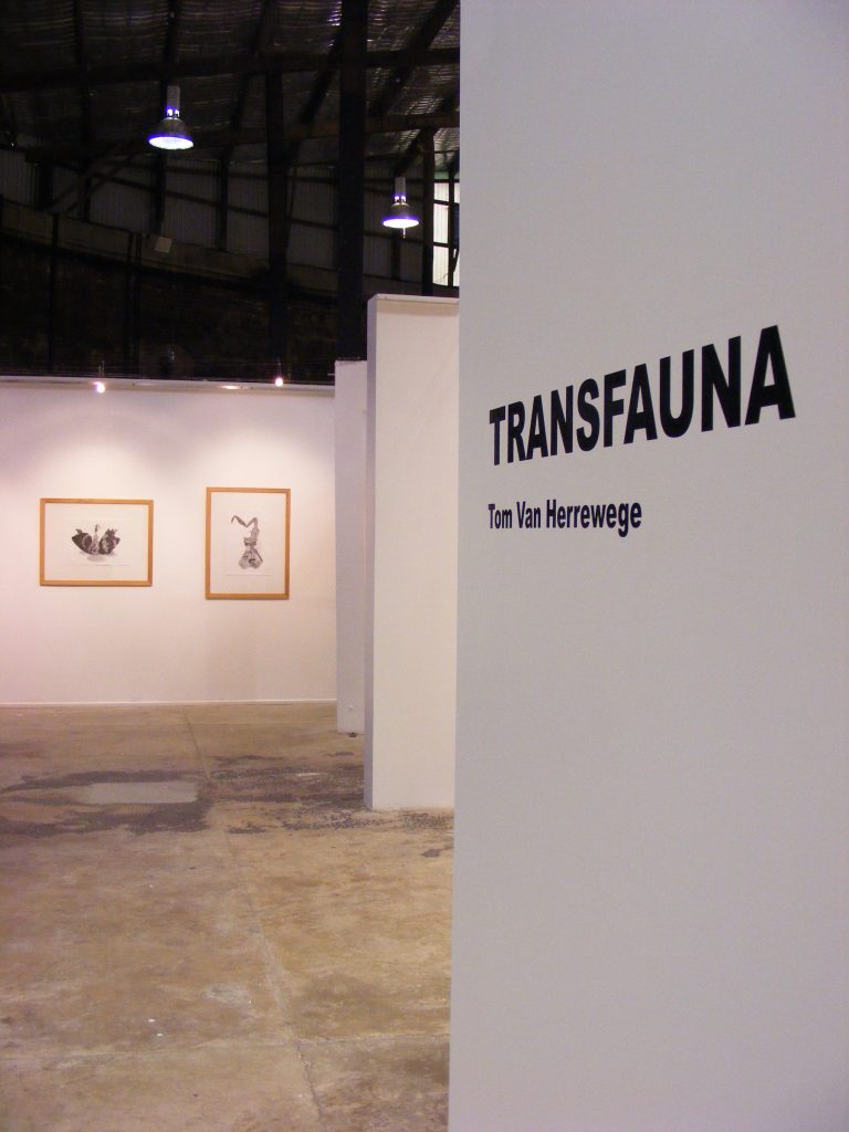 Transfauna exhibition view.