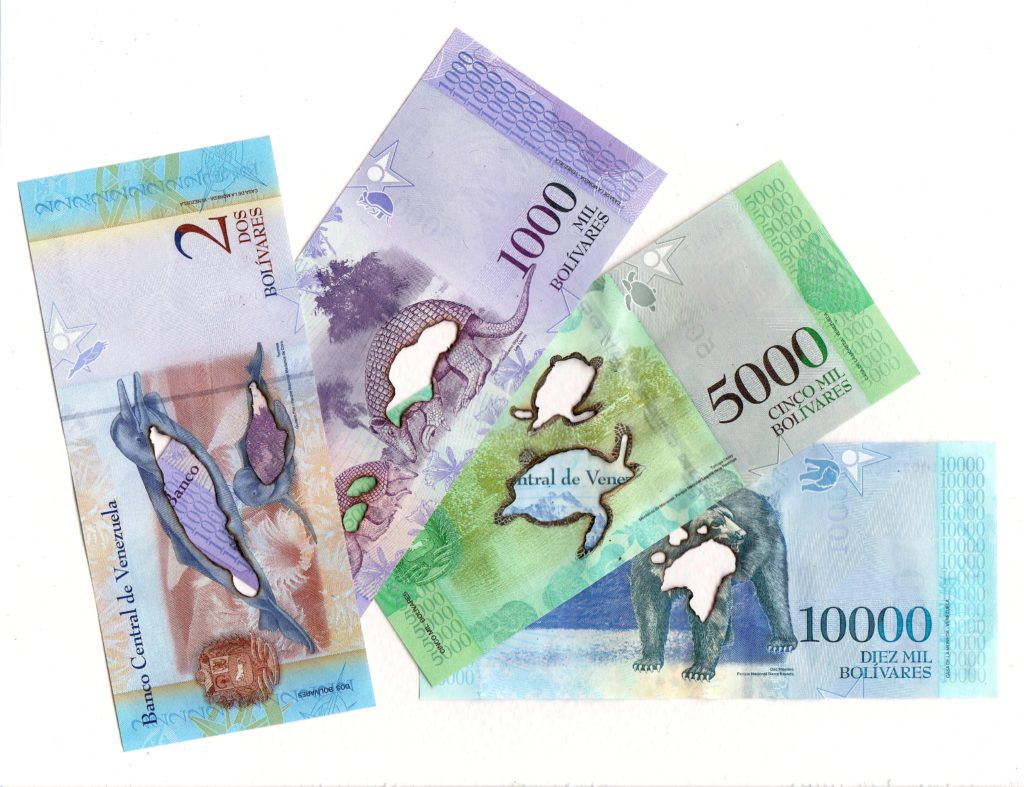 2,1000,5000,10000 Venezuelan bolivares, 2019. Burnt bank notes mounted on cartridge paper.