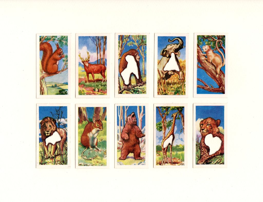Hit List (Domino cigarette's, 10 animals and reptiles, 1961, 2019. Burnt cigarette cards on cartridge paper. 22 x 28 cm.