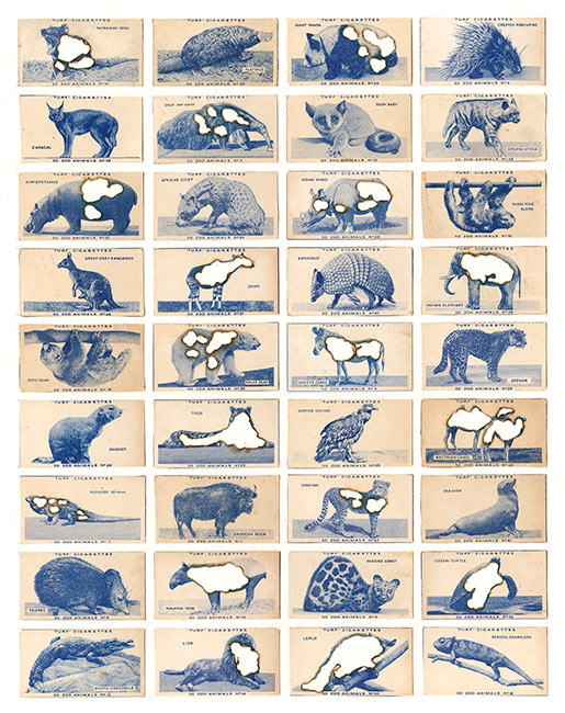 Hit List (Turf cigarettes, 36 Zoo animals, 1954), 2017. 47 x 40 cm. Giclee  print on cotton rag paper. Limited edition of 50 | Tom Van Herrewege
