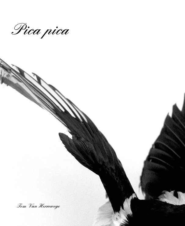 pica pica book cover