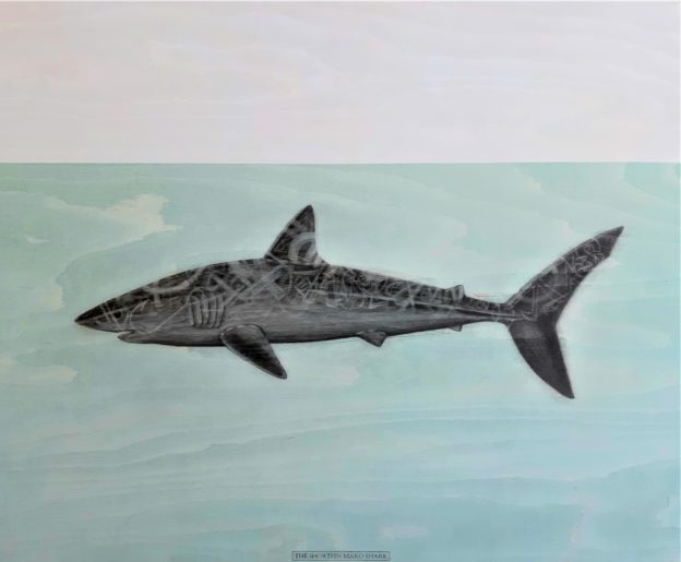 The Shortfin Mako shark, 2020. Graphite and acrylic on plywood. 70 x 85 cm.