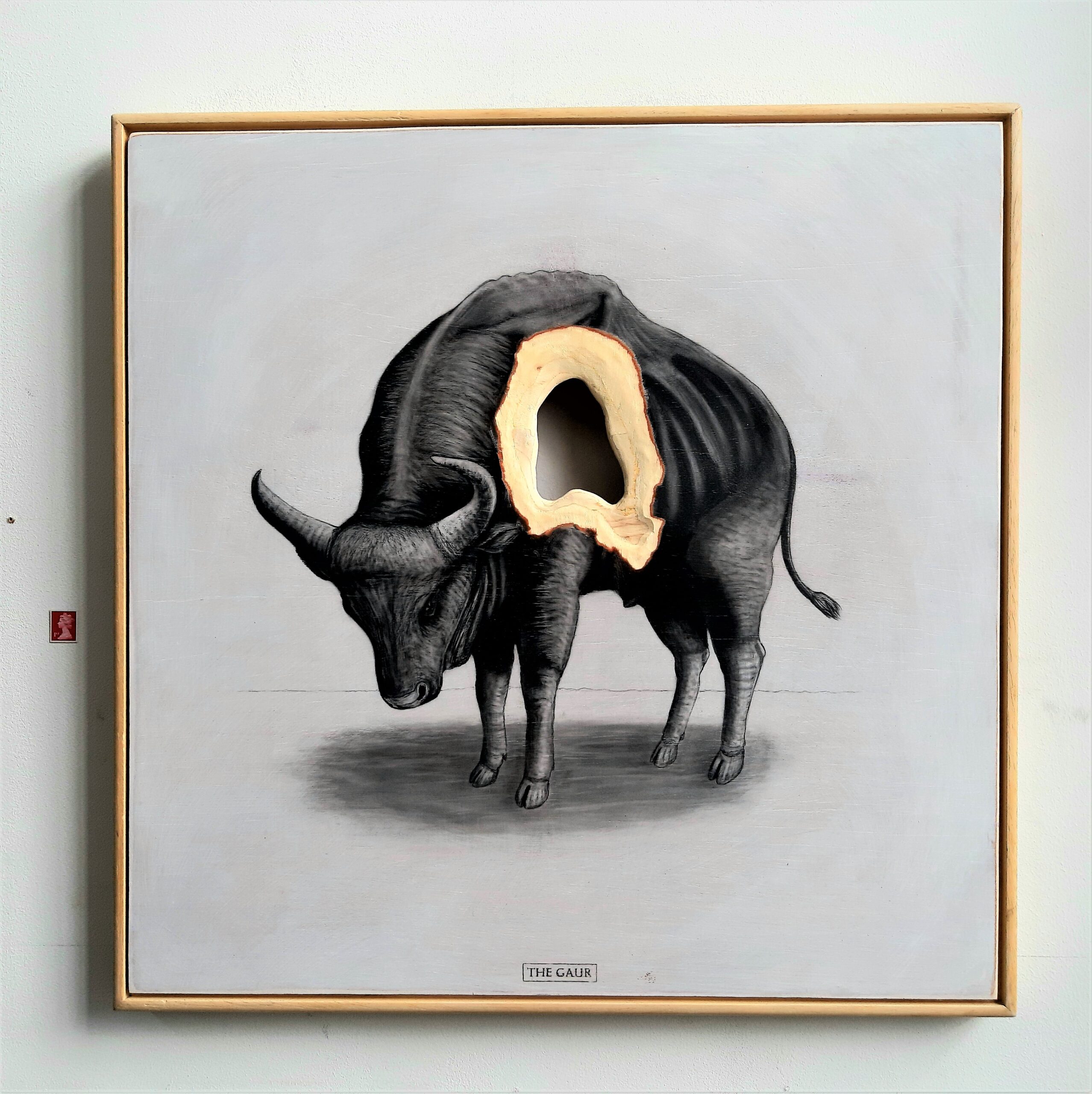 The Gaur, 2019. Graphite on white washed plywood that is then sanded. 65 x 65 x 4 cm. Framed in white varnished obeche