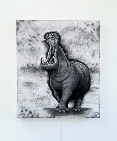 Hippopotamus (small), 2021. Charcoal and chalk on primed canvas. 71 x 61 cm. Front view
