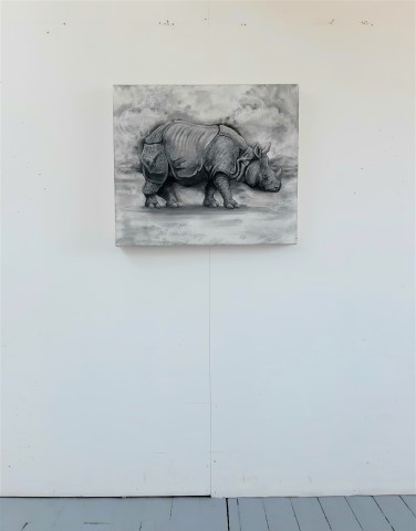 The Indian Rhinoceros, 2021. Charcoal and chalk on primed canvas. 61 x 71 cm. Wall view