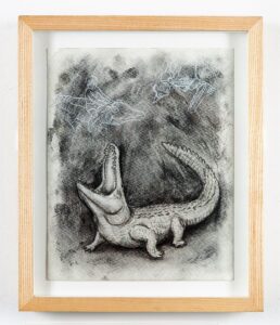 Croc study, 2021. Charcoal and chalk on cartridge paper. Framed in ash. 32 x 26 x 4 cm.