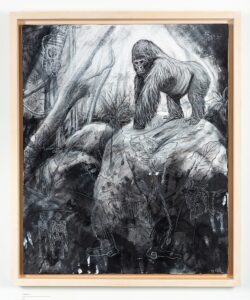 The Gorilla, 2021. Charcoal and chalk on canvas. Framed in lime waxed tulip. 95 x 80 x 6 cm.