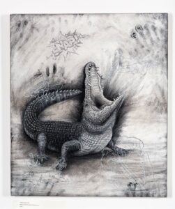 The Nile Crocodile (small), 2021. Charcoal and chalk on primed canvas. 71 x 61 cm.