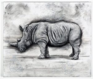 The Northern White Rhinoceros, 2021. Charcoal and chalk on primed canvas. 61 x 71 cm.
