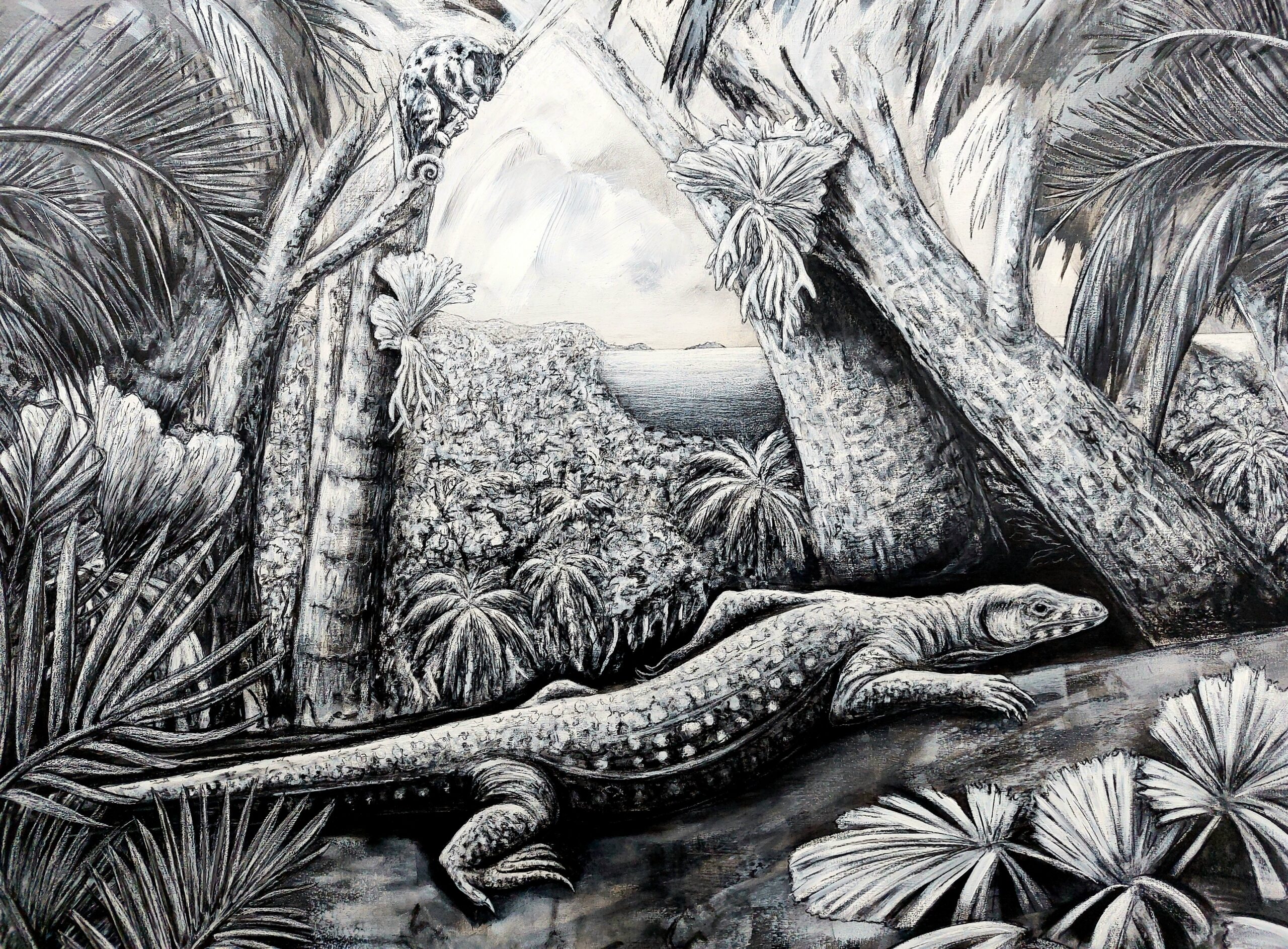 The Daintree, 2021. Charcoal, chalk and gesso on canvas. 120 x 150 cm.