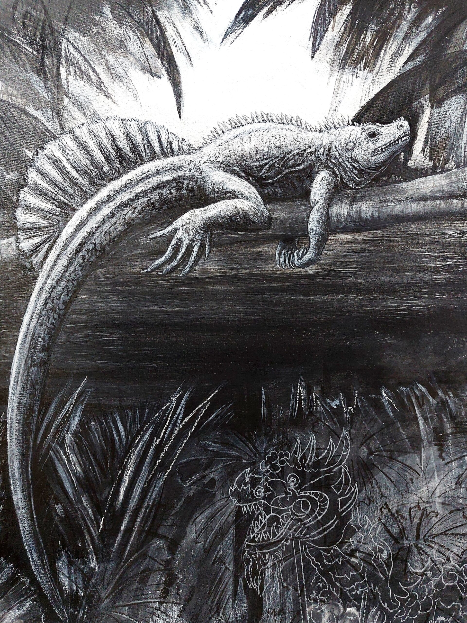 The Phillippine Sail Fin Lizard, 2022. Charcoal, chalk and gesso on canvas. 71 x 61 cm.