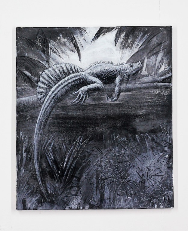 The Phillippine Sail Fin Lizard, 2022. Charcoal, chalk and gesso on canvas. 71 x 61 x 4 cm.